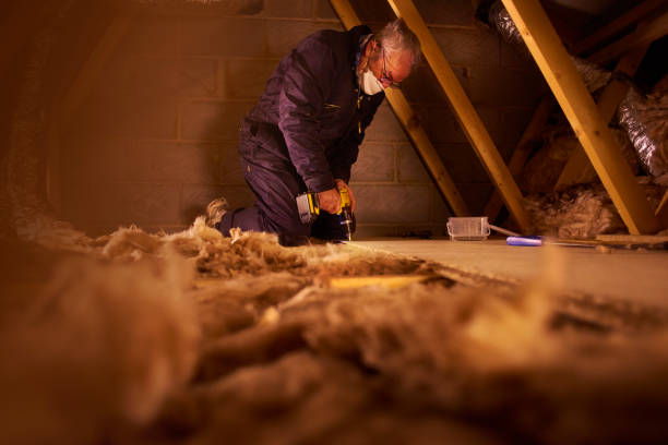 Best Insulation Installation Services in Port St John, FL